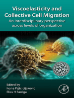 Viscoelasticity and Collective Cell Migration: An Interdisciplinary Perspective Across Levels of Organization