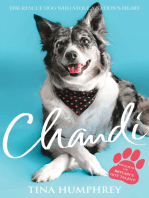 Chandi: The Rescue Dog Who Stole a Nation's Heart