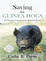 Saving the Guinea Hogs: The Recovery of an American Homestead Breed