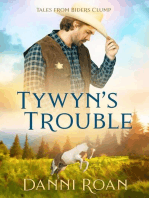 Tywyn's Trouble
