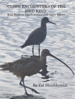 Close Encounters of the Bird Kind: Wild Birds in San Francisco and Other Places