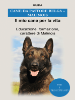 Cane da pastore belga (Malinois): Educazione, formazione, carattere di Malinois