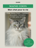 Maine Coon: Chat Maine Coon - Nutrition, éducation, formation et bien plus encore !