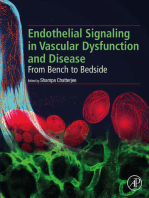 Endothelial Signaling in Vascular Dysfunction and Disease: From Bench to Bedside