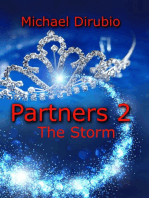 Partners 2: The Storm
