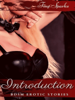 Introduction BDSM Erotic Stories