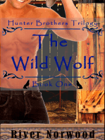 The Wild Wolf, Hunter Brothers Trilogy, Book One