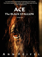 Ace The Black Stallion