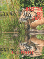 Meet The Big Cats!: Meet The Cat Family!, #1