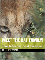 Meet The Cat Family: The International Lineages: Meet The Cat Family!, #2