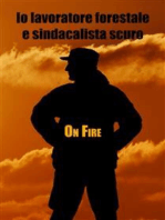 Io lavoratore forestale e sindacalista scuro