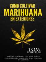 Cómo cultivar marihuana en exteriores