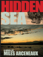 Hidden Sea