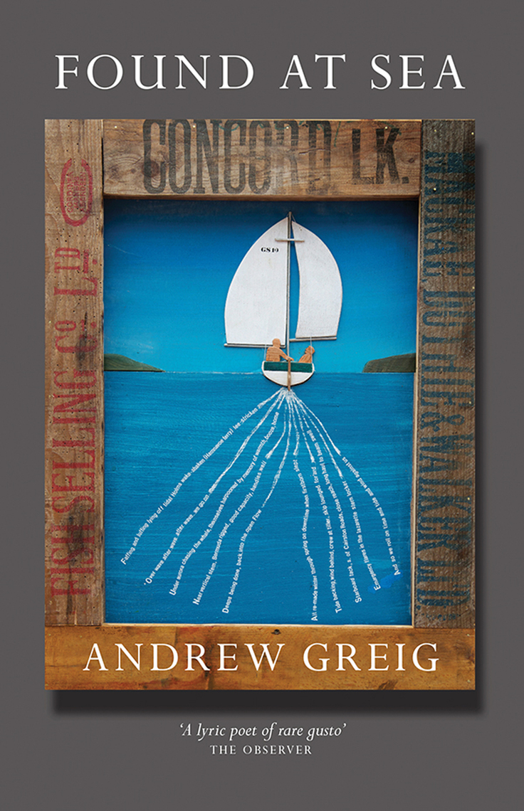 Read Found At Sea Online By Andrew Greig Books