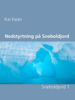 Nedstyrtning på Sneboldjord: Sneboldjord 1