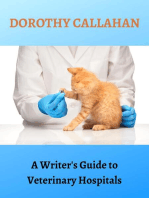 A Writer's Guide to Veterinary Hospitals