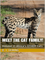 Meet the Cat Family!: Africa's Other Cats: Meet The Cat Family!