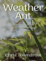 Weather Ant