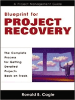 Blueprint for Project Recovery--A Project Management Guide