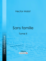 Sans famille: Tome II