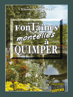 Fontaines mortelles à Quimper: Les OPJ Le Métayer et Guillou - Tome 1