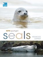 RSPB Spotlight Seals