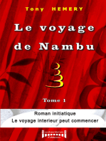 Le voyage de Nambu