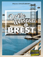 Drôle d’oiseau à Brest: Enor Berigman Enquête N°2