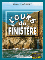 L’ours du Finistère