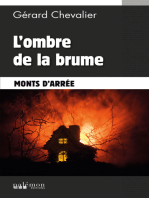 L'ombre de la brume: Polar