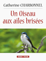 Un Oiseau aux ailes brisées