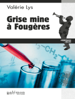 Grise mine à Fougères: Une enquête du commissaire Velcro - Tome 3