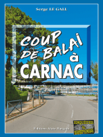 Coup de balai à Carnac: Les enquêtes du commissaire Landowski - Tome 26