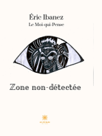 Zone non-détectée