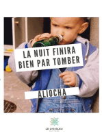 La nuit finira bien par tomber: Roman