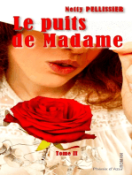 Le puits de Madame - Tome II: Roman