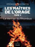 Les Maîtres de l'orage - Tome 2: Le Vertige du Rhombus