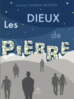 Les dieux de pierre: Roman