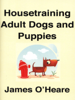 Housetraining Adult Dogs and Puppies