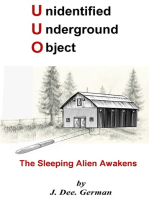 Unidentified Underground Object