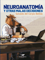 Neuroanatomía y otras malas decisiones