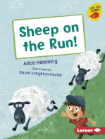 Sheep on the Run!