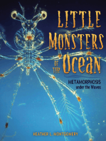 Little Monsters of the Ocean: Metamorphosis under the Waves