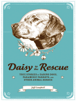 Daisy to the Rescue: True Stories of Daring Dogs, Paramedic Parrots, and Other Animal Heroes