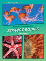 Strange Bodies