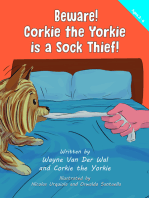 Beware! Corkie the Yorkie is a Sock Thief!