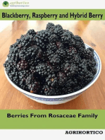 Blackberry, Raspberry and Hybrid Berry: Berries From Rosaceae Family