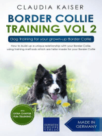 Border Collie Training Vol. 2