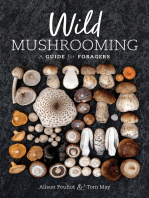 Wild Mushrooming