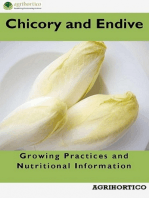 Chicory and Endive: Growing Practices and Nutritional Informations